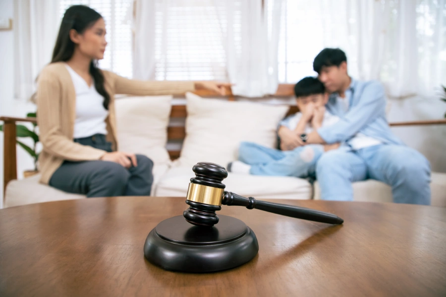 Child Custody Investigation
